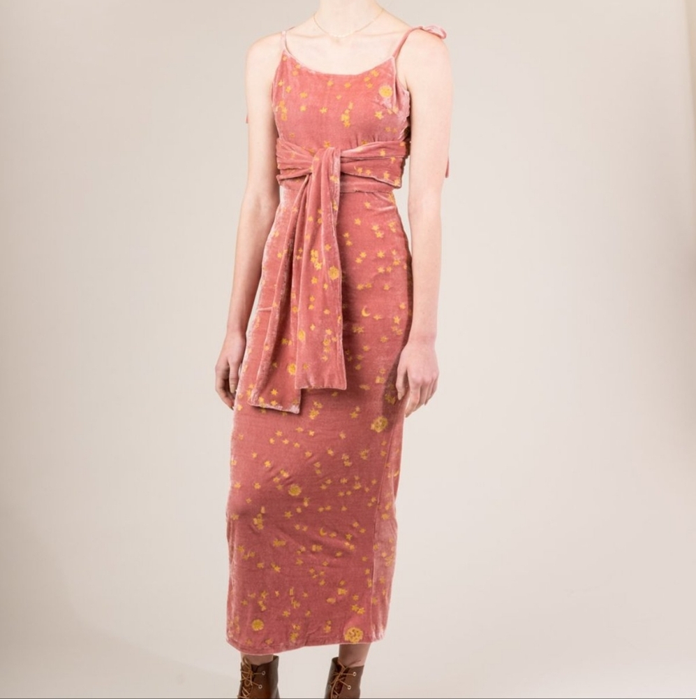 ISO samantha pleet pink velvet celestial stardust dress